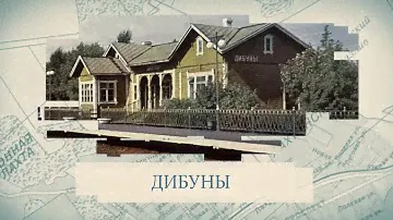 Малые родины большого Петербурга. Дибуны