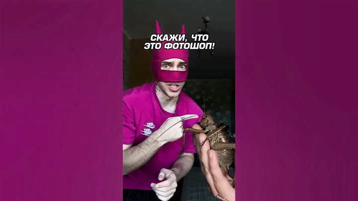 ГИГАНТСКИЕ КУЗНЕЧИКИ 😱❌ Они едят даже птиц!!!