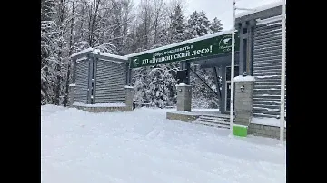 Земельный участок в окружении живописного хвойного леса!