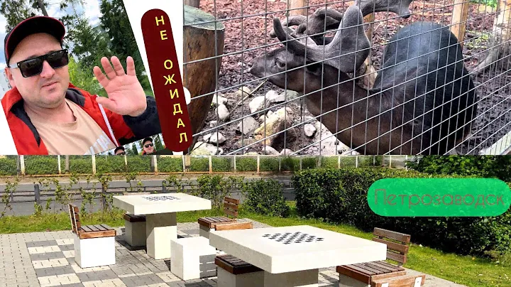 Не ожидал !…/ Университетский городок/ Берёзовая аллея/ Скандинавия/ Чистый город / Петрозаводск