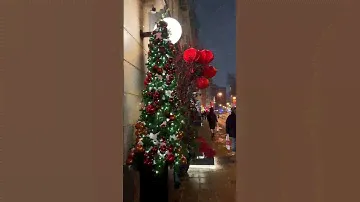 Новогодние Патрики 😍 #shortvideo #москва
