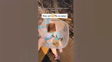 Кузнечики на обед школьника в музее. Музей, насекомые, перекус, Америка, США