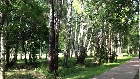 ПРИРОДА НА ТЕРРИТОРИИ ЗЕЛЕНОГО ГОРОДКА В КОСТИНО ПУШКИНО