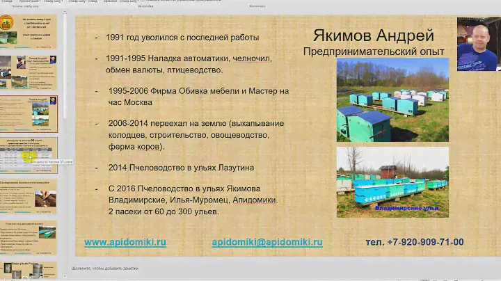 Пчеловодство как бизнес. Бизнес план пасеки - за 3-7 лет доход от 1000000 рублей в год