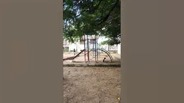 Jungle gym