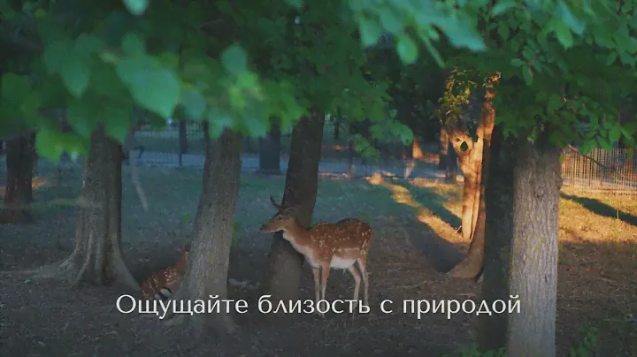 Курортный квартал «Ривьера» — это баланс между ритмом города и безмятежностью природы