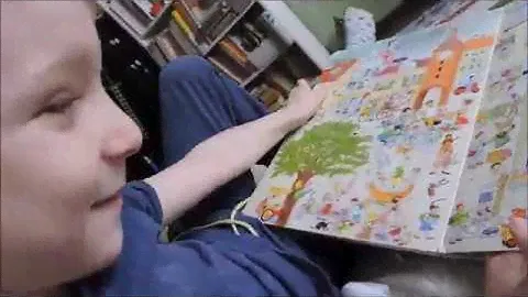 "Зимняя книга" Ротраут Бернер и другие виммельбухи про городок