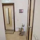 Снять 1-комнатную квартиру 32 м² по адресу село Тарногский Городок, Красная улица, 50А - id 6352290555888644314 - по цене 5 000 руб. в месяц на Яндекс.Недвижимости-3