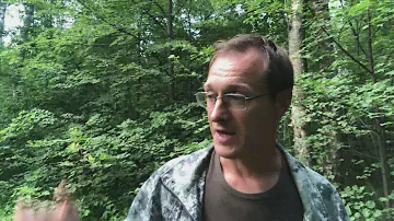 Проблемы загородной жизни в своём доме и коттеджном посёлке