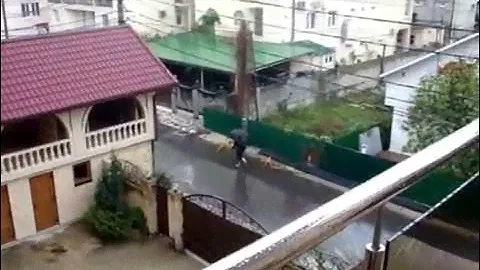 Адлер Отель Джульетта Лазурная, 14