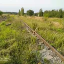 Купить участок 500 соток по адресу Одинцовский городской округ, посёлок Новый Городок - id 244127223830399809 - по цене 35 млн руб. на Яндекс.Недвижимости