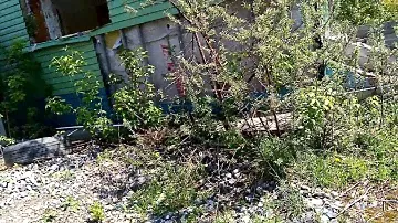 Военный городок номер 17