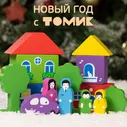 Конструктор "Цветной Городок" 17 дет. Деревянный развивающий Томик