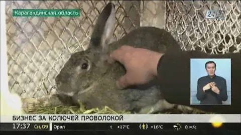 Карагандинские заключенные налаживают бизнес в колонии