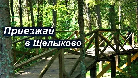 Едем на экскурсию в Щелыково