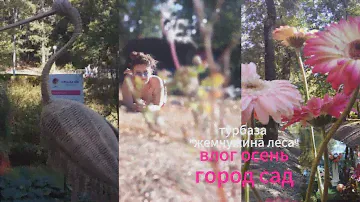 Vlog| Воронеж город сад, база отдыха жемчужина леса