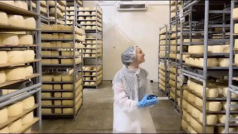 Как производят сыр для «Пятёрочки»