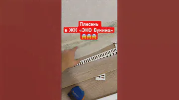 😱 ПЛЕСЕНЬ в ЖК ЭКО Бунино: приемка квартиры от застройщика! #приемкаквартиры #плесень #суд