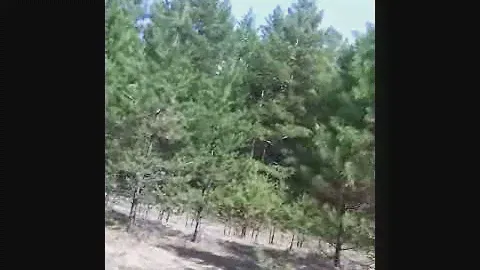 Знаменка