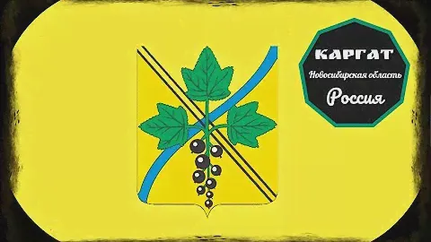 Каргат, Новосибирская область ( Russian Federation)