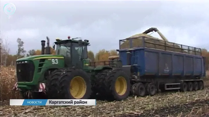 В хозяйстве "Русское поле" Каргатского района приступили к уборке "царицы полей"