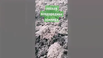 Земля Плодородная Торф Песок Щебень